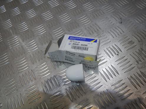 Фотография Крышка ручки двери, Renault (Рено)-Latitude