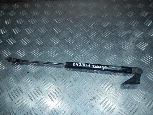 Фотография Амортизатор двери багажника, Nissan (Ниссан)-TIIDA (C11) (07-)