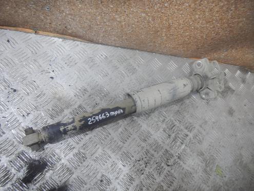 Фотография Амортизатор задний, Fiat (Фиат)-PUNTO (05-18)