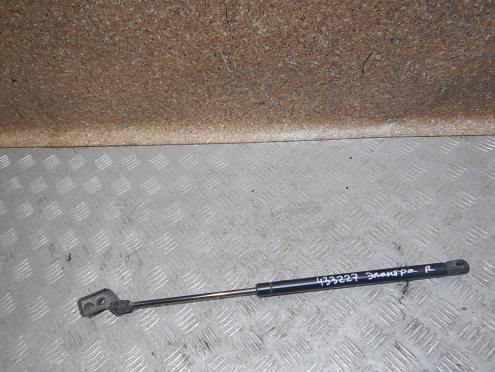 Фотография Амортизатор двери багажника, Hyundai (Хендэ)-ELANTRA (00-05)