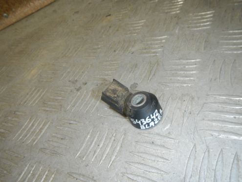 Фотография Датчик детонации, Chevrolet (Шевроле)-TRAILBLAZER (01-09)