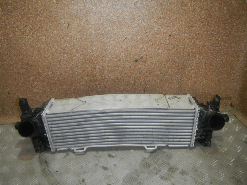 Фотография Интеркулер, BMW (БМВ)-X7 (G07) (18-)