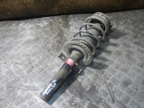 Фотография Амортизатор передний левый, Renault (Рено)-MEGANE II (02-09)