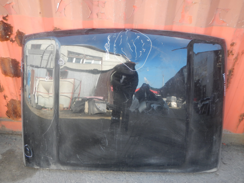 Фотография Капот, Tank (Танк)-300 (21-)