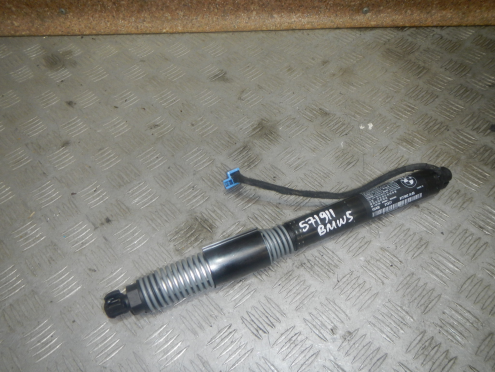 Фотография Амортизатор крышки багажника, BMW (БМВ)-5 (G30) (16-)