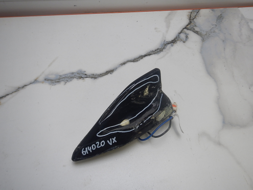 Фотография Антенна, EXEED (Эксид)-VX (21-)