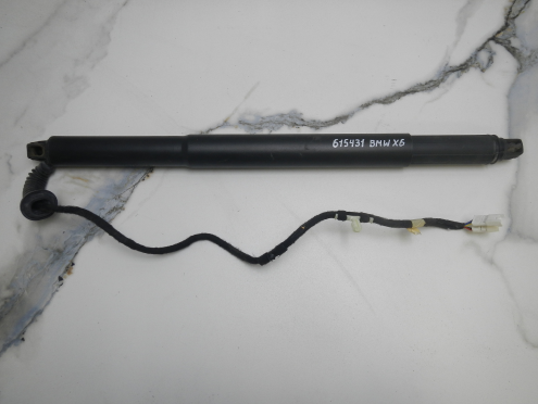Фотография Амортизатор двери багажника, BMW (БМВ)-X6 (F16) (14-19)