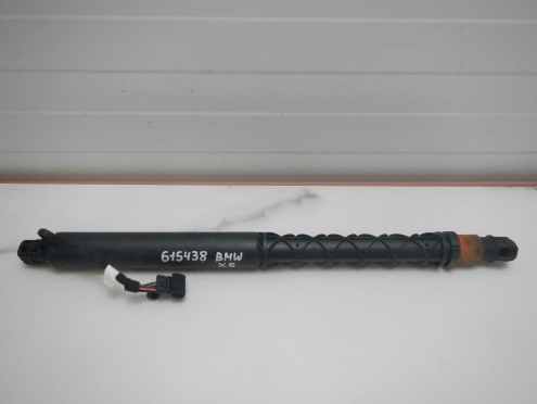 Фотография Амортизатор двери багажника, BMW (БМВ)-X5 (G05) (18-)