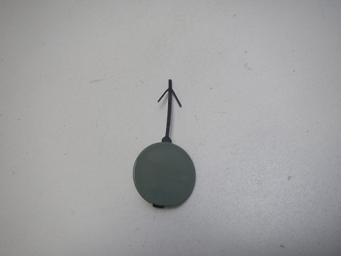 Фотография Заглушка (Кузов снаружи), EXEED (Эксид)-RX (23-)